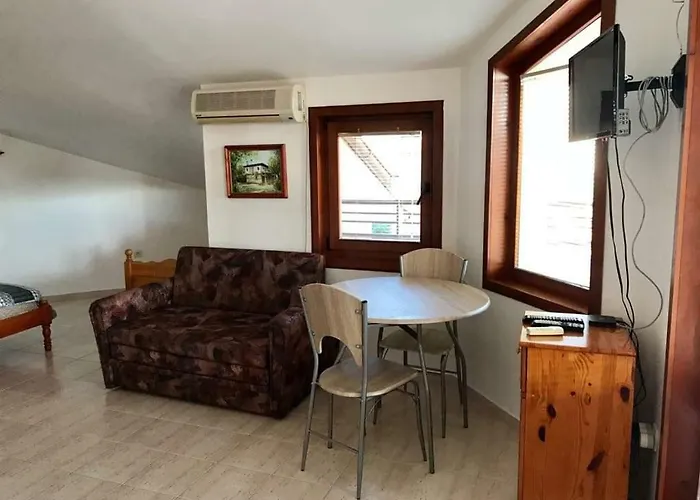 студиа мансарда ненови *