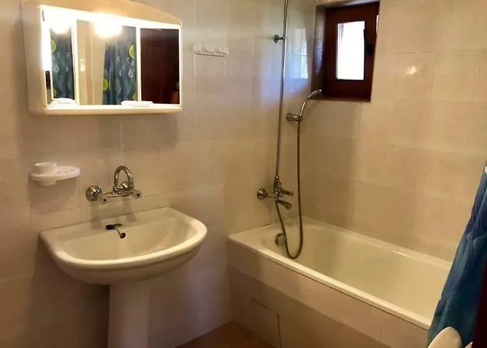 студиа мансарда ненови 公寓 帕莫瑞