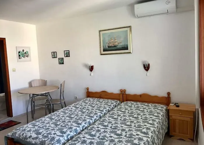 студиа мансарда ненови 公寓 *